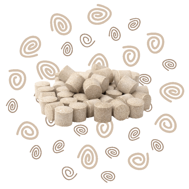 Dutch Licorice, Salmiak Wood Pastilles (Zoethoutjes)
