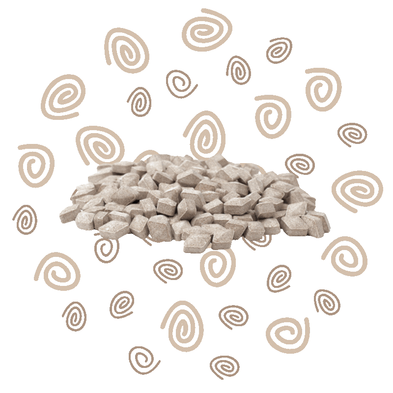 Dutch Licorice, Pectorale