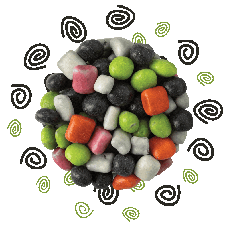 Licorice Hollows (Snaps)